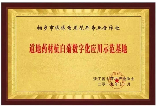 道地药材杭白菊数字化应用示范基地